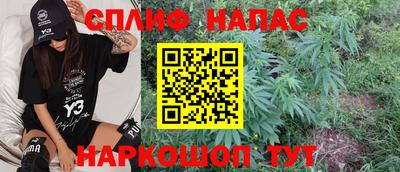 сатива Моздок