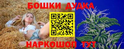 сатива Моздок