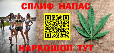 сатива Моздок
