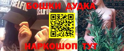 крисы Малгобек