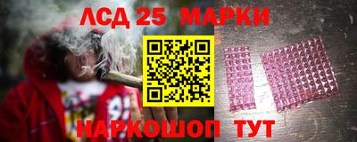 гидропоника Можайск