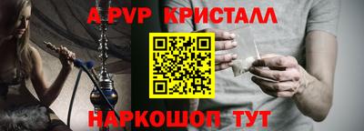 крисы Малгобек