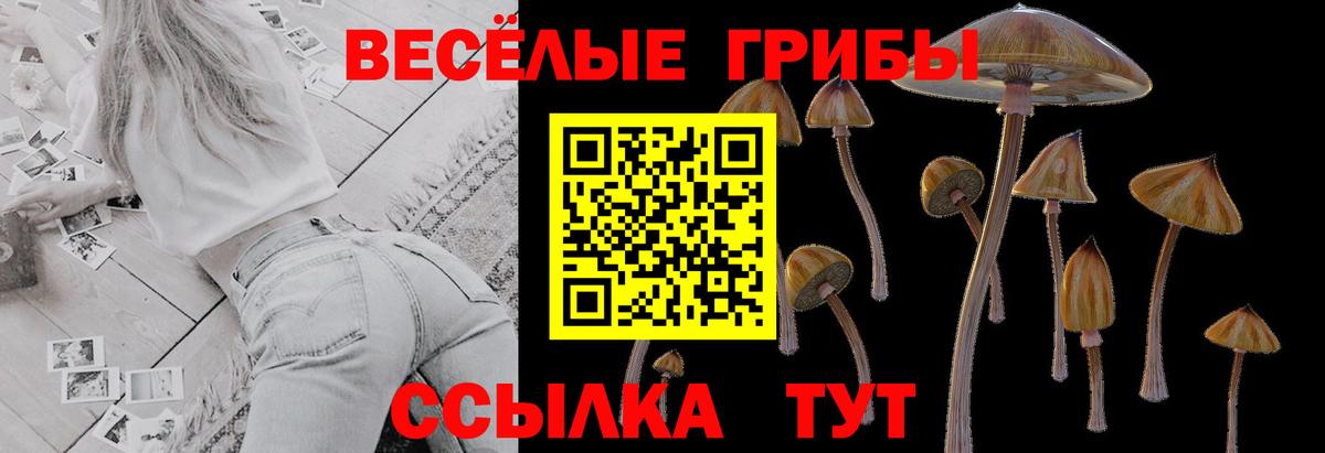 Улан-Удэ  Псилоцибиновые грибы Cubensis  Вход с VPN 