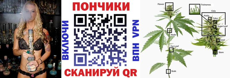 Бошки марихуана AK-47  darknet клад  Улан-Удэ 